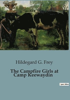 bokomslag Campfire Girls at Camp Keewaydin