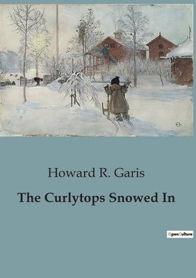 bokomslag Curlytops Snowed In
