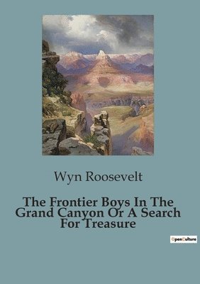 bokomslag The Frontier Boys In The Grand Canyon Or A Search For Treasure