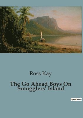 bokomslag Go Ahead Boys On Smugglers' Island