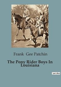 bokomslag Pony Rider Boys In Louisiana