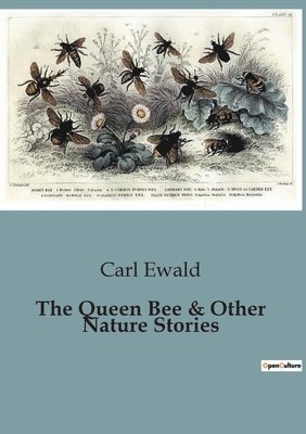 Queen Bee & Other Nature Stories 1