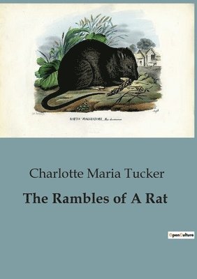 bokomslag Rambles of A Rat