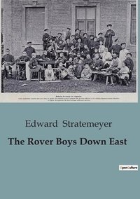 bokomslag Rover Boys Down East