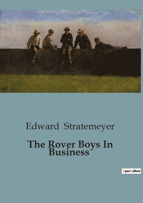 bokomslag Rover Boys In Business