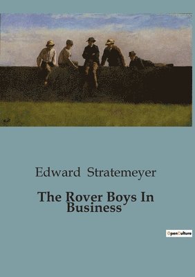 bokomslag The Rover Boys In Business