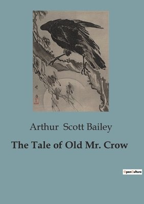 Arthur Scott Bailey - Tale of Old Mr. Crow, Häftad