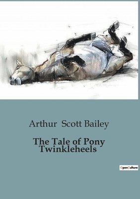 Arthur Scott Bailey - Tale of Pony Twinkleheels, Häftad