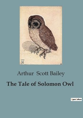 Arthur Scott Bailey - Tale of Solomon Owl, Häftad