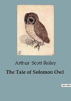 bokomslag The Tale of Solomon Owl