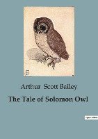 Tale of Solomon Owl