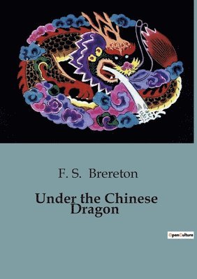 bokomslag Under the Chinese Dragon