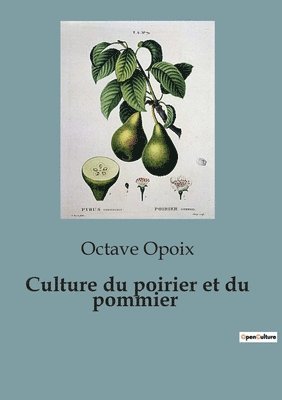 Culture du poirier et du pommier 1