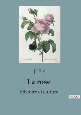 bokomslag rose