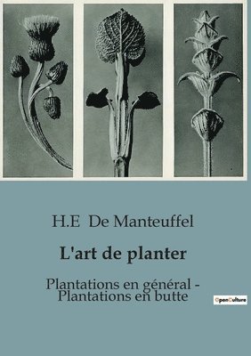 L'art de planter 1