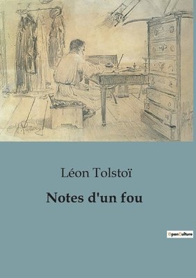 bokomslag Notes d'un fou