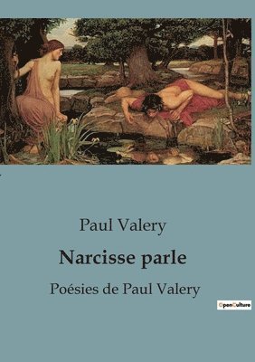 bokomslag Narcisse parle