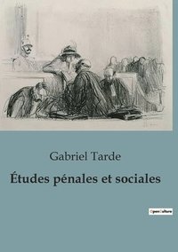 bokomslag Études pénales et sociales