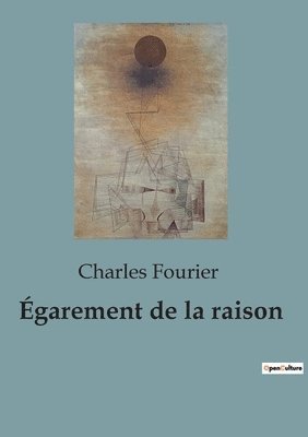 bokomslag Égarement de la raison