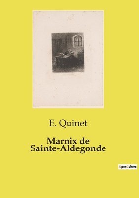 bokomslag Marnix de Sainte-Aldegonde