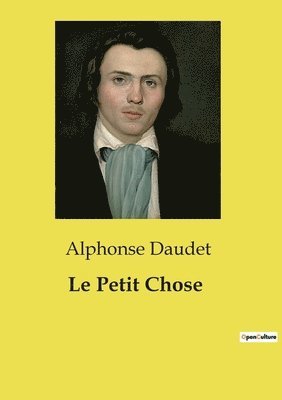 Alphonse Daudet - Petit Chose, Häftad