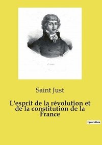 bokomslag L'esprit de la rvolution et de la constitution de la France