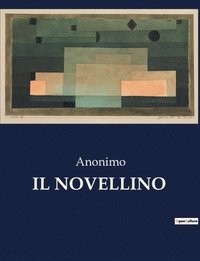 bokomslag Novellino