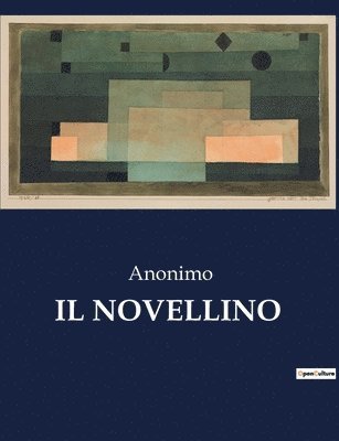 bokomslag Novellino