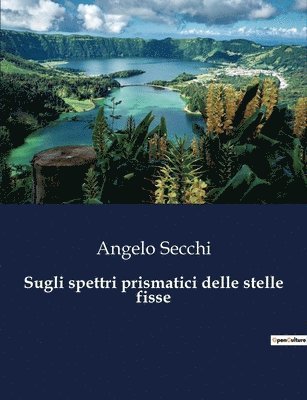 bokomslag Sugli spettri prismatici delle stelle fisse