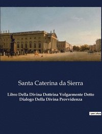 bokomslag Libro Della Divina Dottrina Volgarmente Detto Dialogo Della Divina Provvidenza
