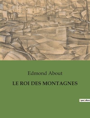 bokomslag Roi Des Montagnes