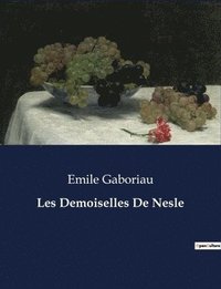 bokomslag Les Demoiselles De Nesle