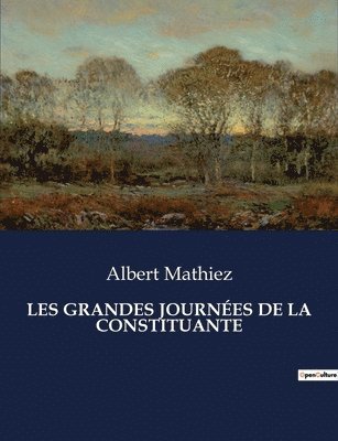 bokomslag Les Grandes Journées de la Constituante