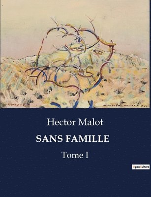 Hector Malot - Sans Famille, Häftad