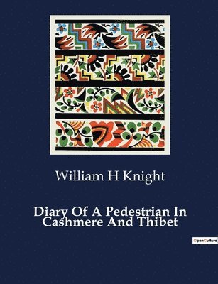 bokomslag Diary Of A Pedestrian In Cashmere And Thibet