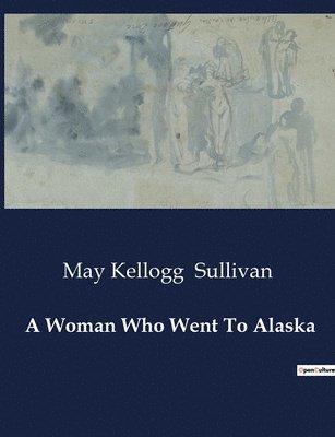 bokomslag Woman Who Went To Alaska
