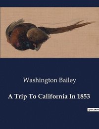 bokomslag Trip To California In 1853