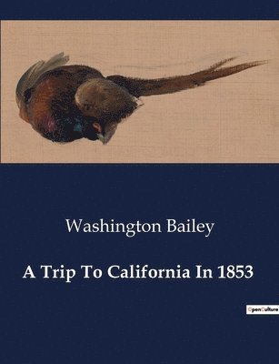bokomslag Trip To California In 1853