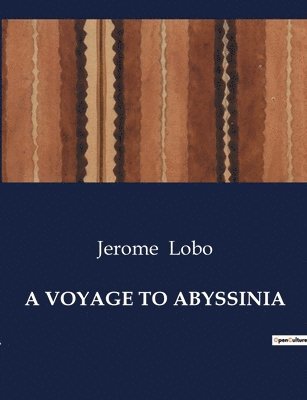 bokomslag Voyage to Abyssinia