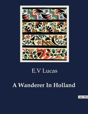 bokomslag Wanderer In Holland