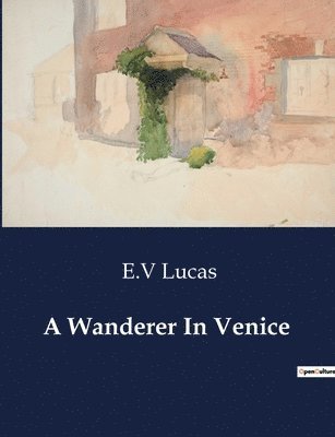 A Wanderer In Venice 1