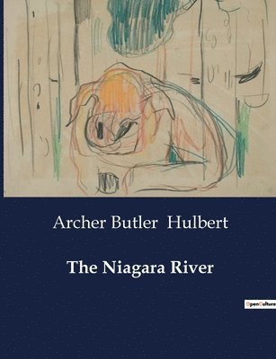 bokomslag Niagara River