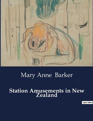 Station Amusements in New Zealand 1