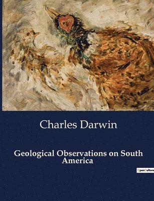 Charles Darwin - Geological Observations on South America, Häftad