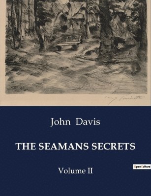 bokomslag Seamans Secrets