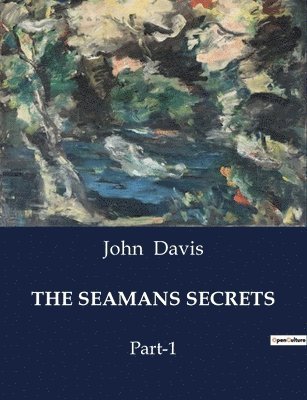 bokomslag Seamans Secrets