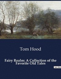 bokomslag Fairy Realm