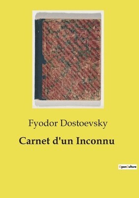 bokomslag Carnet d'un Inconnu