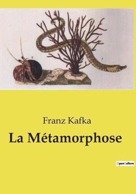 La Mtamorphose 1