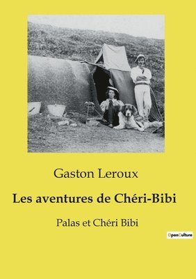 bokomslag Les aventures de Chri-Bibi